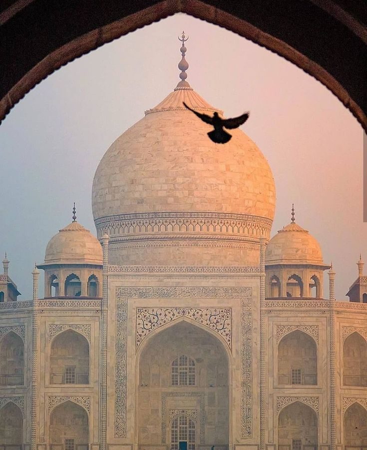Taj Mahal Skip the Line Private Guided Tour